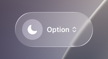 A representation of a control with the ability to set an option to a value a person chooses.