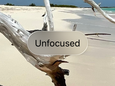 An image of an unfocused button on top of a photograph. A small drop shadow makes it appear very close to the content behind it, with a translucent background infused by the colors of the content, and a high-contrast text color.
