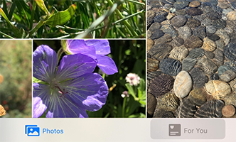 A video snippet showing a small area at the bottom of a Photos window. Nature photos that show purple flowers, rocks in a stream, and grass are visible just above the tab bar, which shows the Photos and For You tabs. At the beginning of the video, the Photos tab is highlighted. Because bar items receive the highlight effect, the pointer becomes the highlighted rounded rectangle that surrounds the tab’s glyph and title. The highlighted rounded rectangle slides from one tab to the other as the pointer moves.