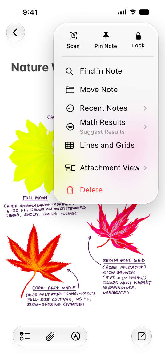 A screenshot of the Notes app on iPhone, open to a Notes document titled Nature Walks. The More button in the top toolbar is expanded, revealing the More menu with additional funtionality.