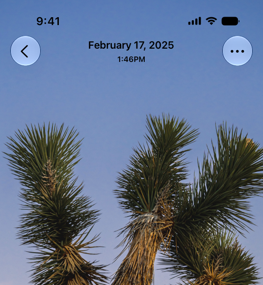 A screenshot of the top half of the Photos app on iPhone, showing a photo filling the screen. The status bar is visible at the top of the screen.