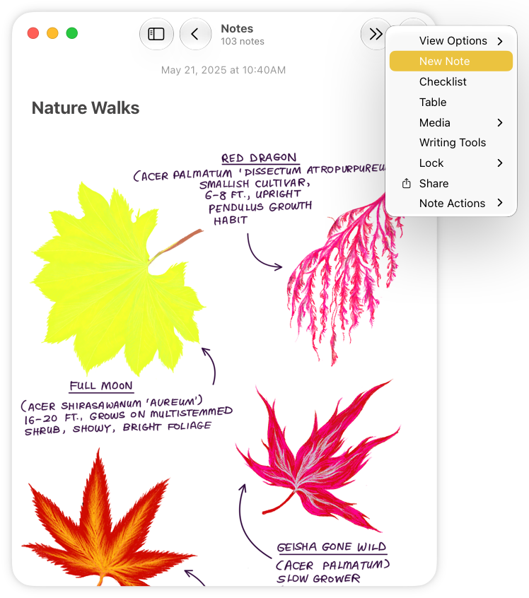 A screenshot of the Notes app on Mac, with the window narrow enough that the system moves several items from the toolbar into an overflow menu, including the More menu button. The overflow menu is open to show the items it includes.