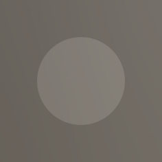 A circular button.