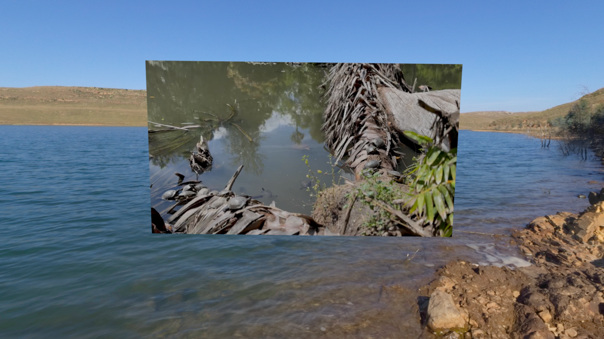 A recording of a fully immersive experience in which a video player window appears on top of an Environment. As the viewer adjusts the Digital Crown, passthrough increases to reveal more of the person's physical surroundings.