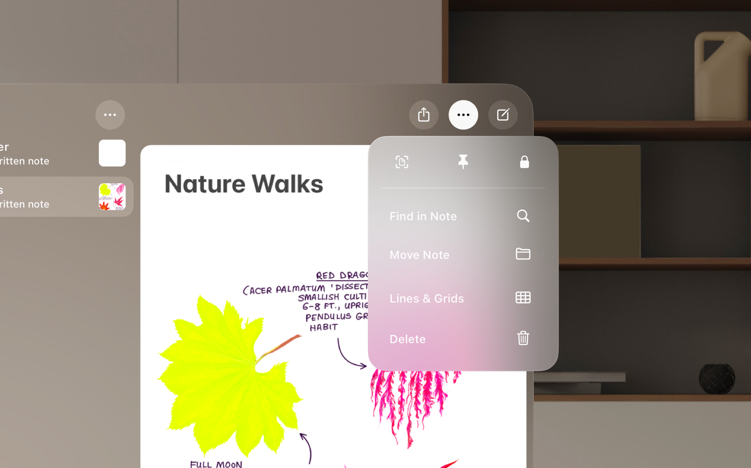 A partial screenshot showing an app window in visionOS. The window contains several buttons, including a 'More' button, which is selected. A menu containing a list of actions is displayed beneath the button.