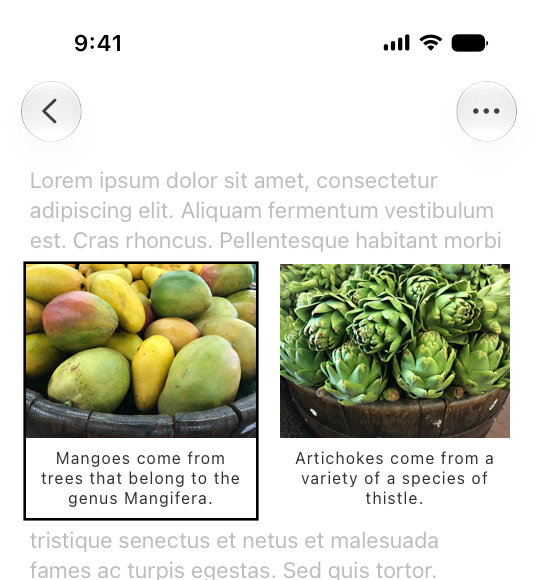 An illustration of the top portion of an iPhone. The UI onscreen shows two images. On the left is a basket of mangoes, and on the right is a basket of artichokes. There are captions beneath the images that read 'Mangoes come from trees that belong to the genus Mangifera' and 'Artichokes come from a variety of a species of thistle.' Just the image of mangoes and its caption are contained within a single VoiceOver frame.