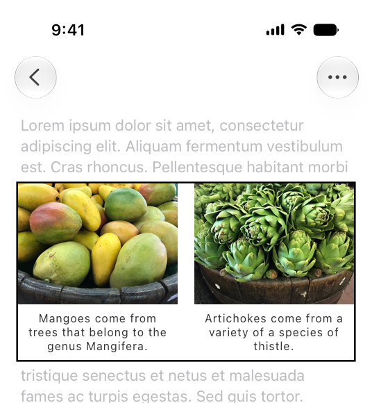 An illustration of the top portion of an iPhone. The UI onscreen shows two images. On the left is a basket of mangoes, and on the right is a basket of artichokes. There are captions beneath the images that read 'Mangoes come from trees that belong to the genus Mangifera' and 'Artichokes come from a variety of a species of thistle.' The images and captions are all contained within a single VoiceOver frame.