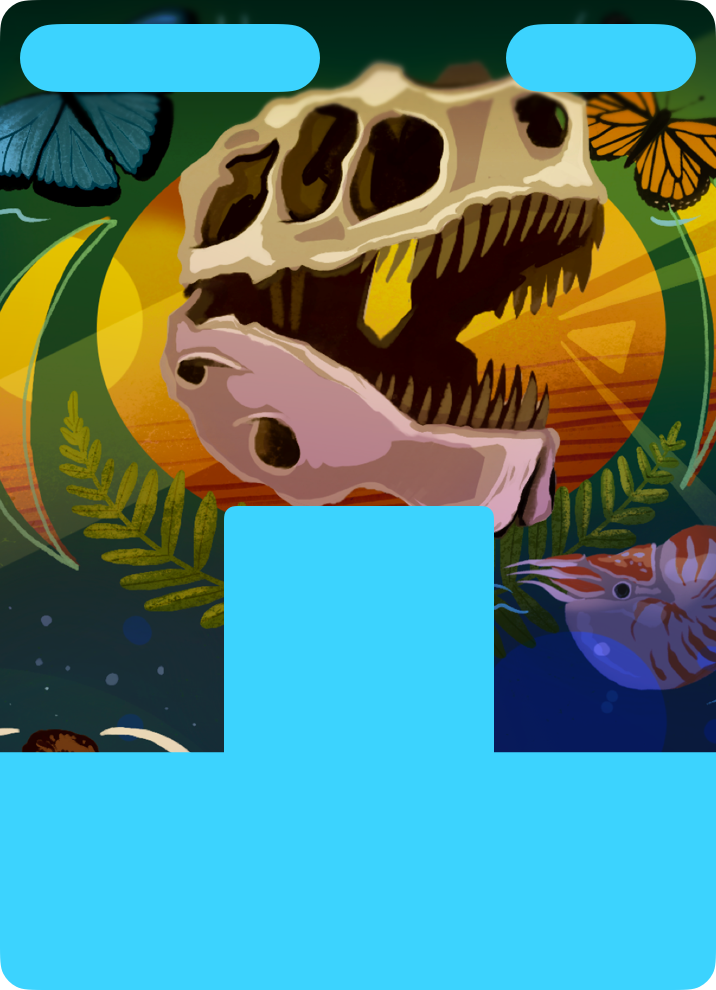 A museum poster generic pass with a background illustration featuring a dinosaur skull, butterflies, and marine creatures. Blue overlays show the safe areas for pass content, including a header area at the top and QR code and footer areas below.