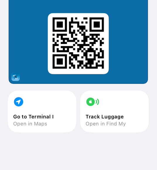 The bottom portion of an airline boarding pass open in Wallet on iPhone, with the pass icon visible in the bottom-leading corner of the pass, and two featured actions below: Go to Terminal I and Track Luggage.