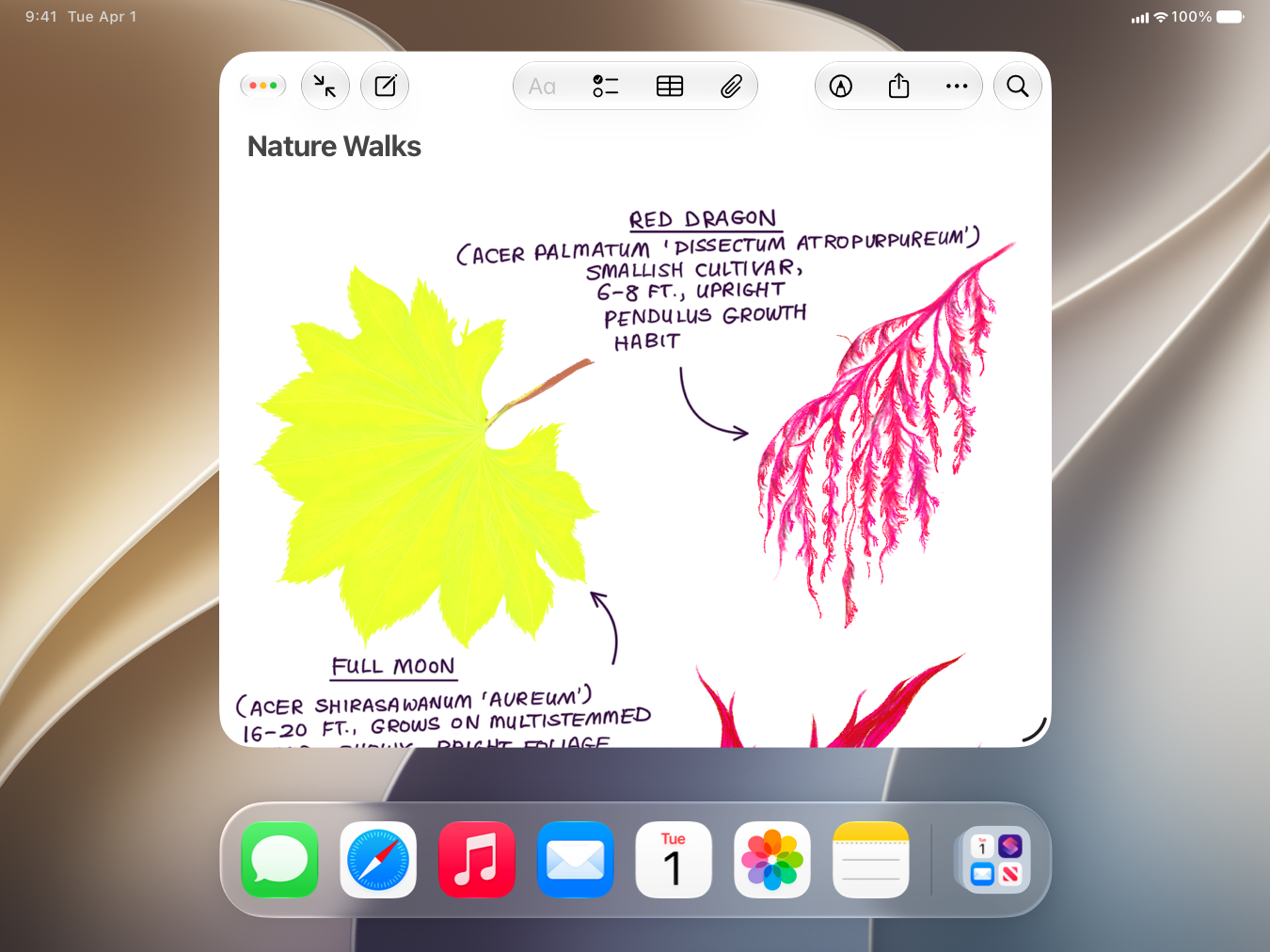A screenshot of the Notes app  in a window on iPad, with an open document titled Nature Walks. The document window occupies the center of the screen, with the Home Screen background filling the rest of the screen behind it, and the Dock at the bottom.